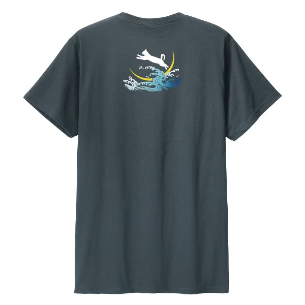 画像2: 波猫 改 (2)